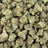 Space Rocks bulk THCA flower — Plain Jane 1 lb