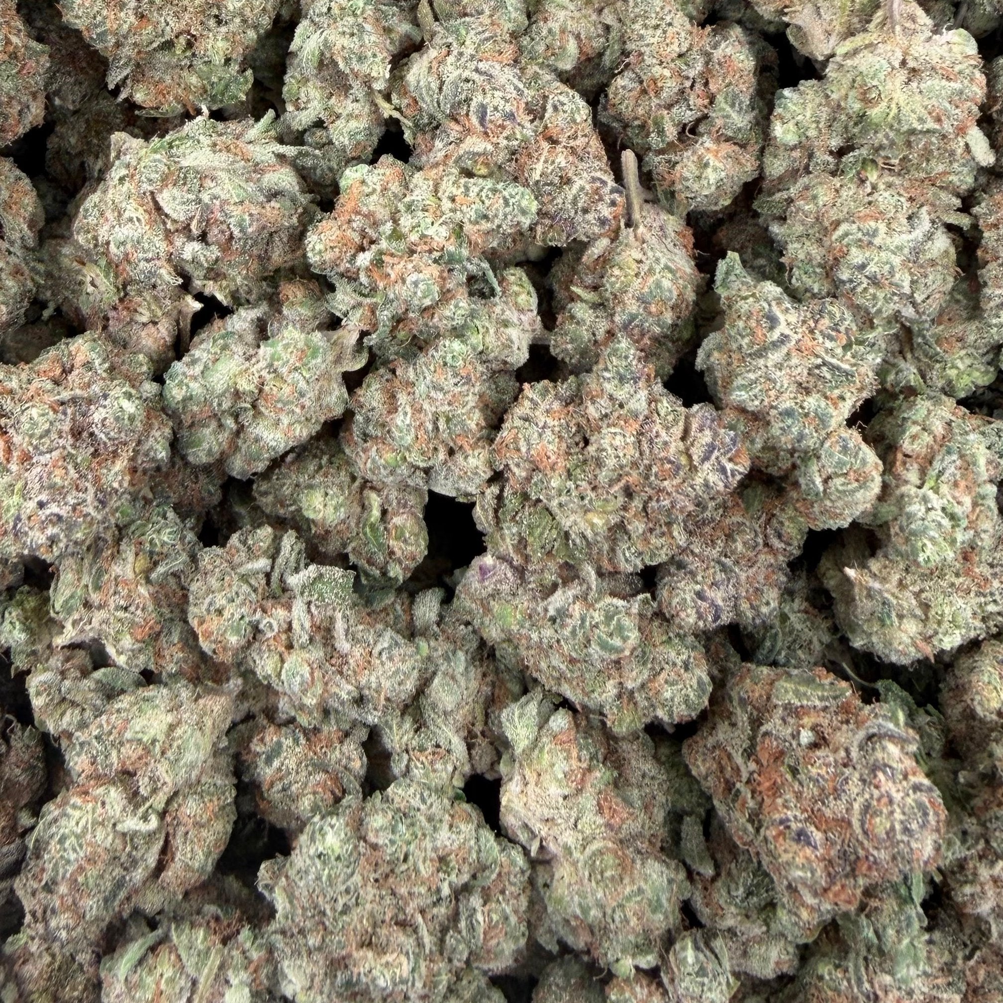Space Station bulk THCA flower — Plain Jane 1 lb
