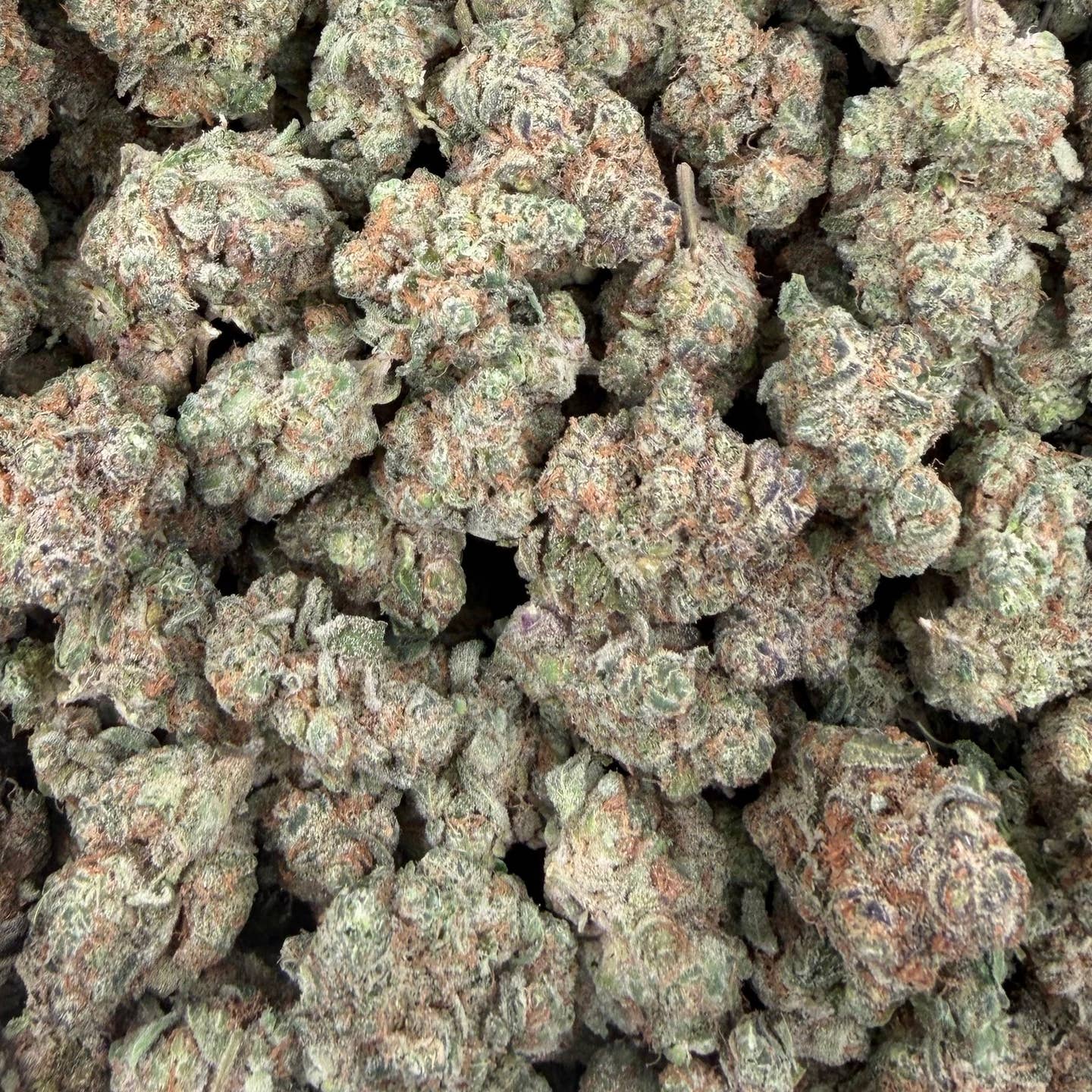 Space Station bulk THCA flower — Plain Jane 1 lb