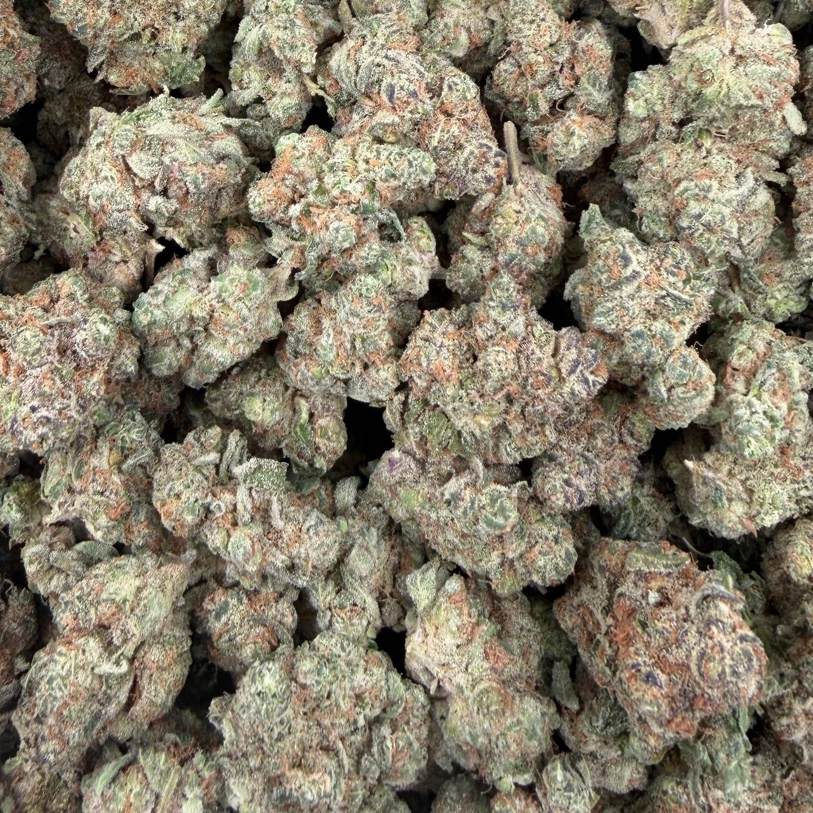 Space Station bulk THCA flower — Plain Jane 1 lb