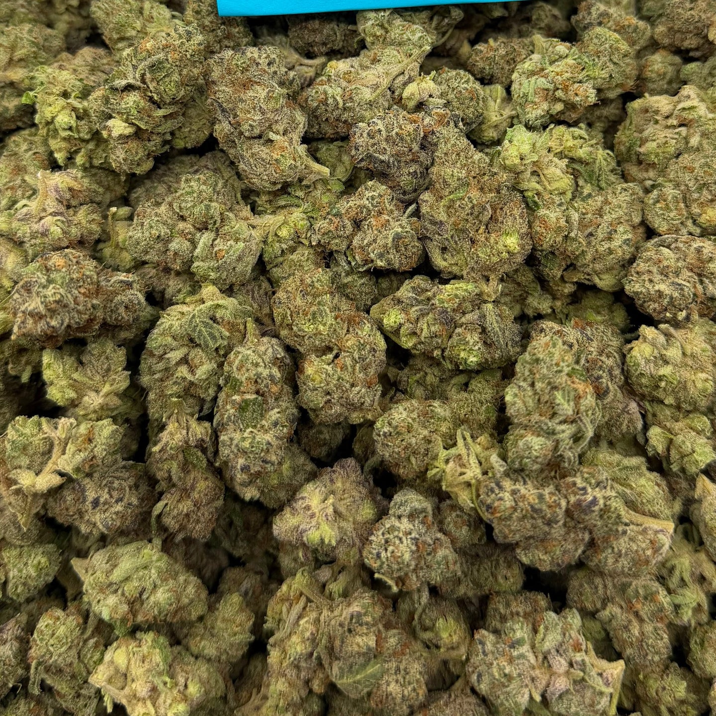 Space Station bulk THCA flower — Plain Jane 1 lb