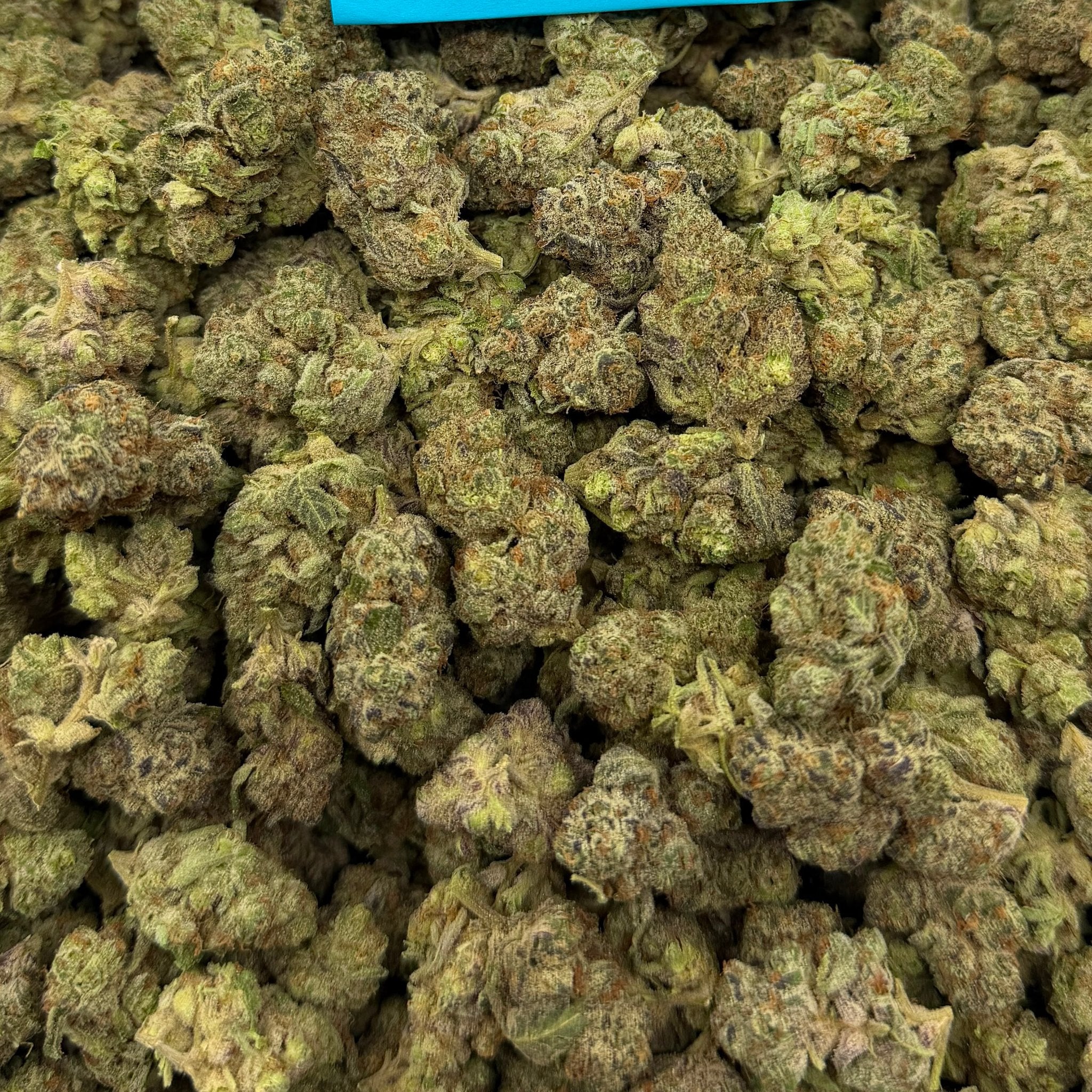 Space Station bulk THCA flower — Plain Jane 1 lb