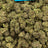 Space Station bulk THCA flower — Plain Jane 1 lb