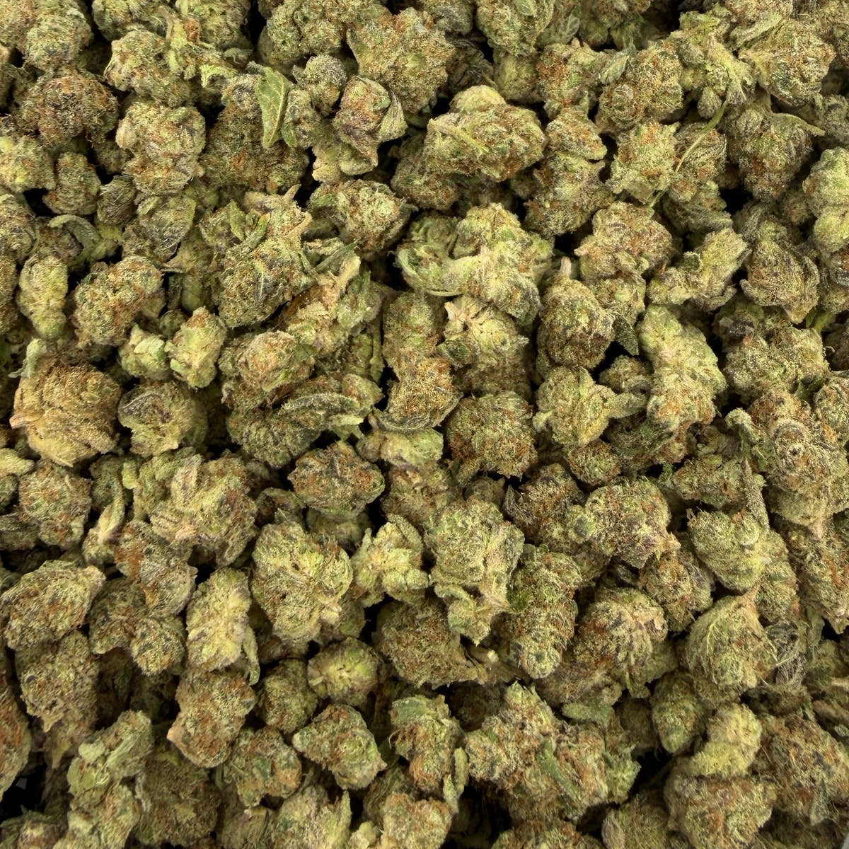 Space Station bulk THCA flower — Plain Jane 1 lb