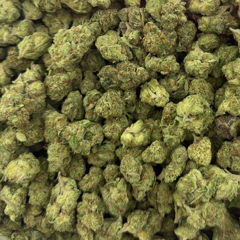 Speaker Knocker bulk THCA flower — Plain Jane 1 lb