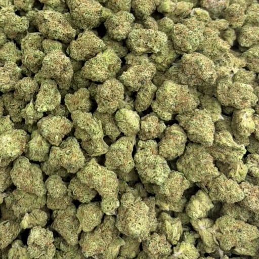 Splash (Value Indoor Medium Buds) – Bulk THCA Flower 1 lb