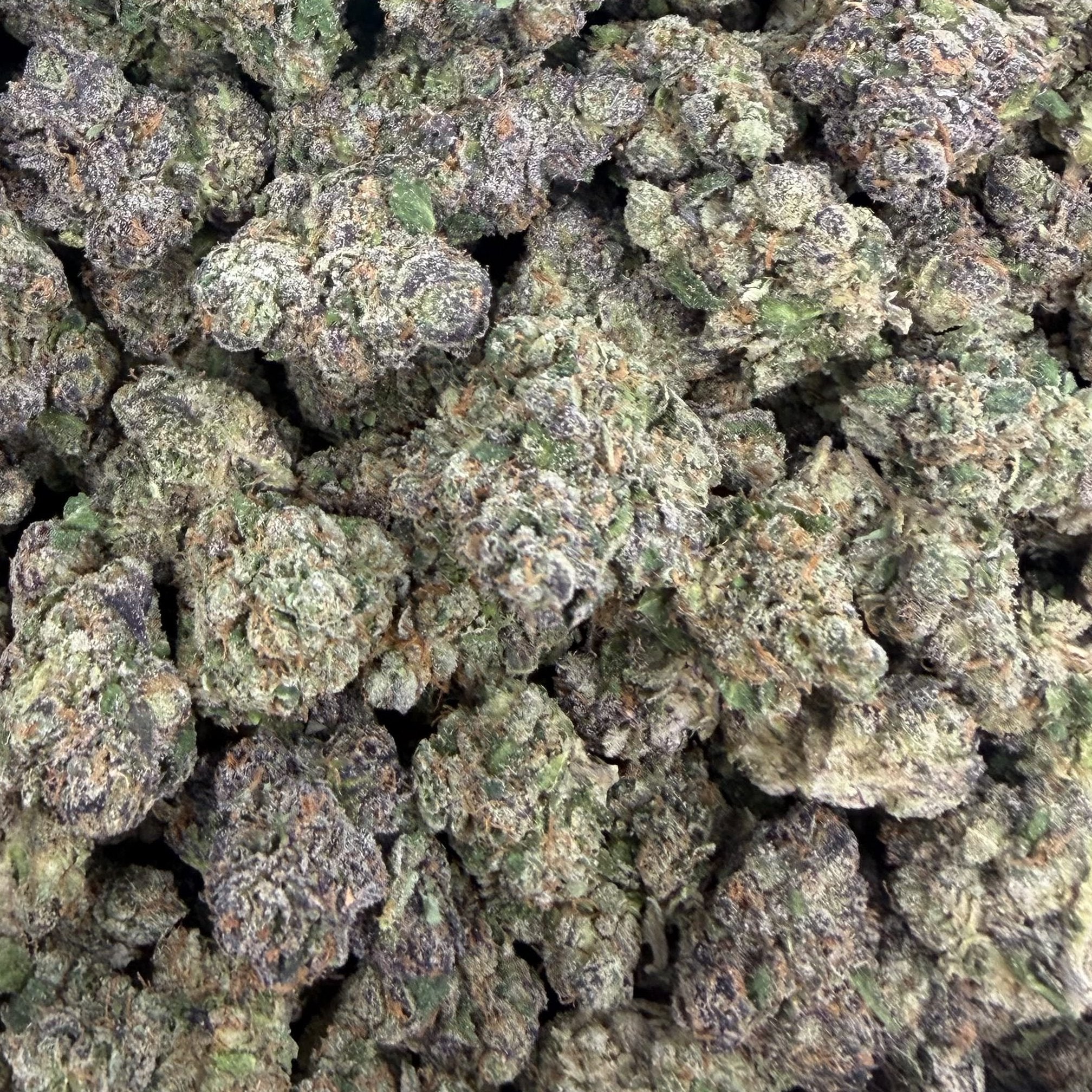 Splash bulk THCA flower — Plain Jane 1 lb