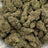 Stardust bulk THCA flower — Plain Jane 1 lb