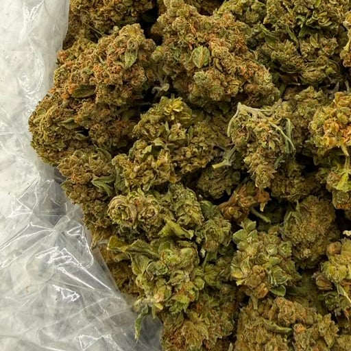 Street Guru bulk THCA flower — Plain Jane 1 lb