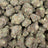 Street Guru bulk THCA flower — Plain Jane 1 lb