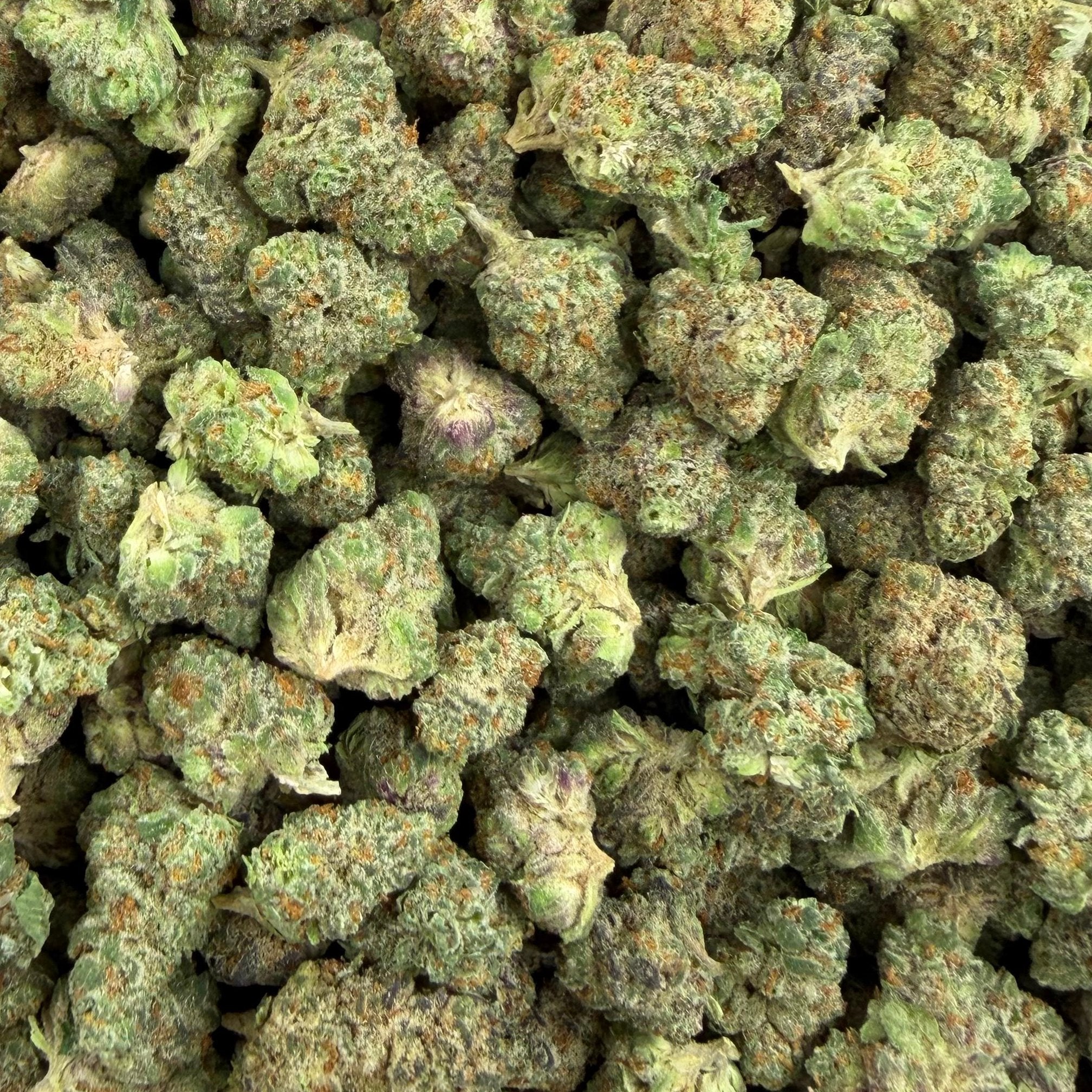 Street Guru bulk THCA flower — Plain Jane 1 lb