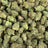 Street Guru bulk THCA flower — Plain Jane 1 lb