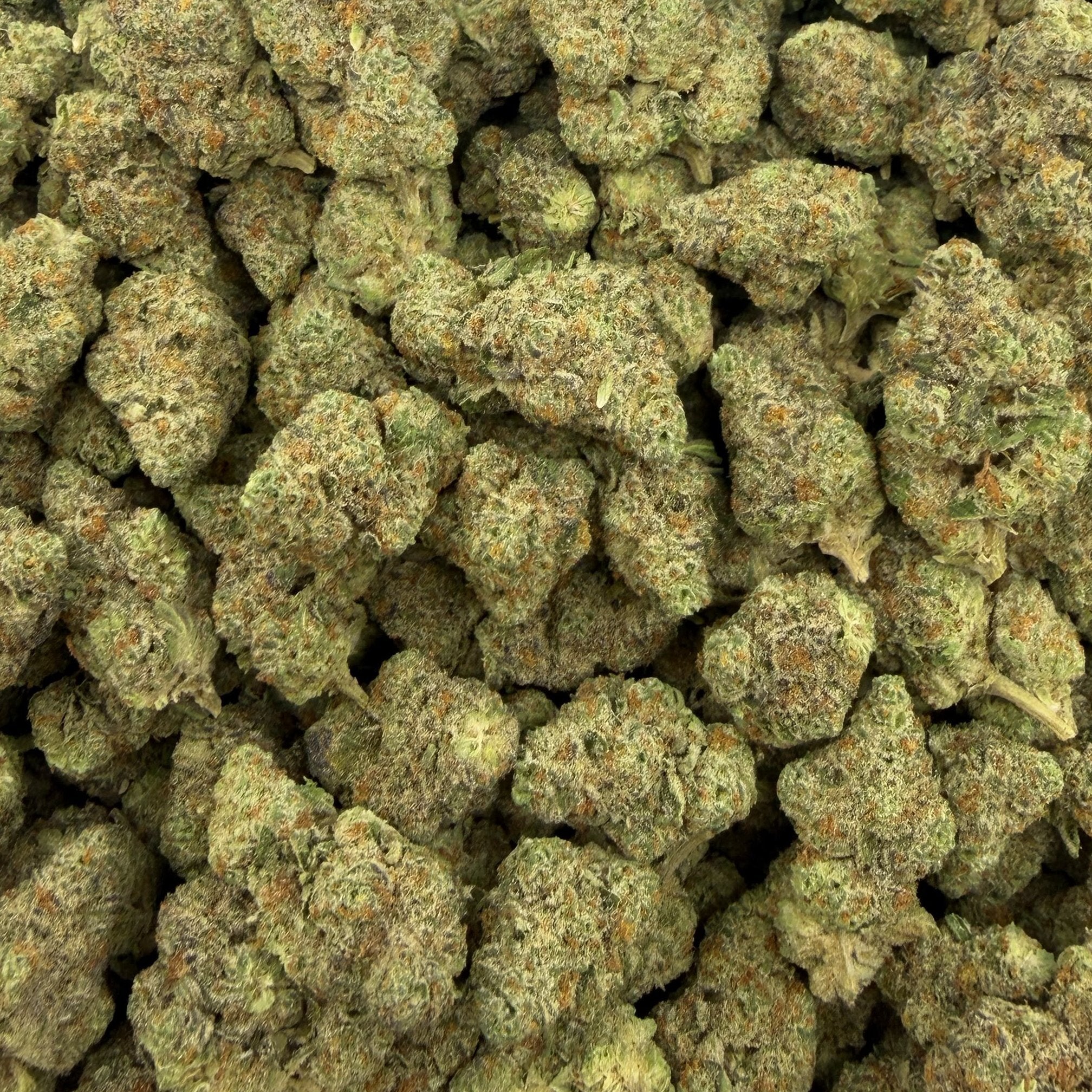 Street Guru bulk THCA flower — Plain Jane 1 lb