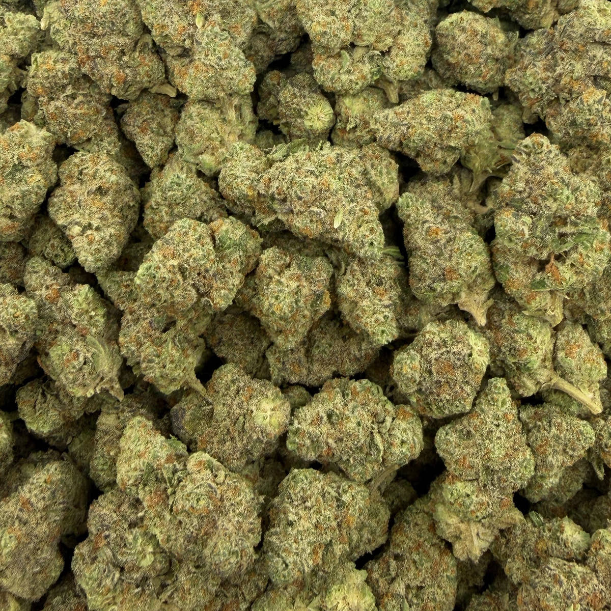 Street Guru bulk THCA flower — Plain Jane 1 lb