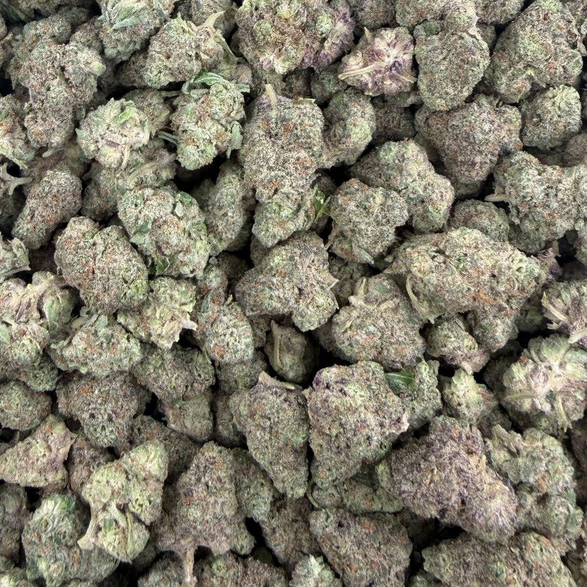 Street Guru bulk THCA flower — Plain Jane 1 lb