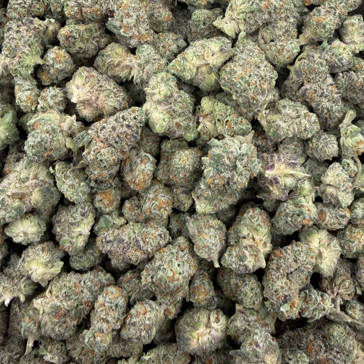 Street Guru bulk THCA flower — Plain Jane 1 lb