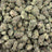 Street Guru bulk THCA flower — Plain Jane 1 lb