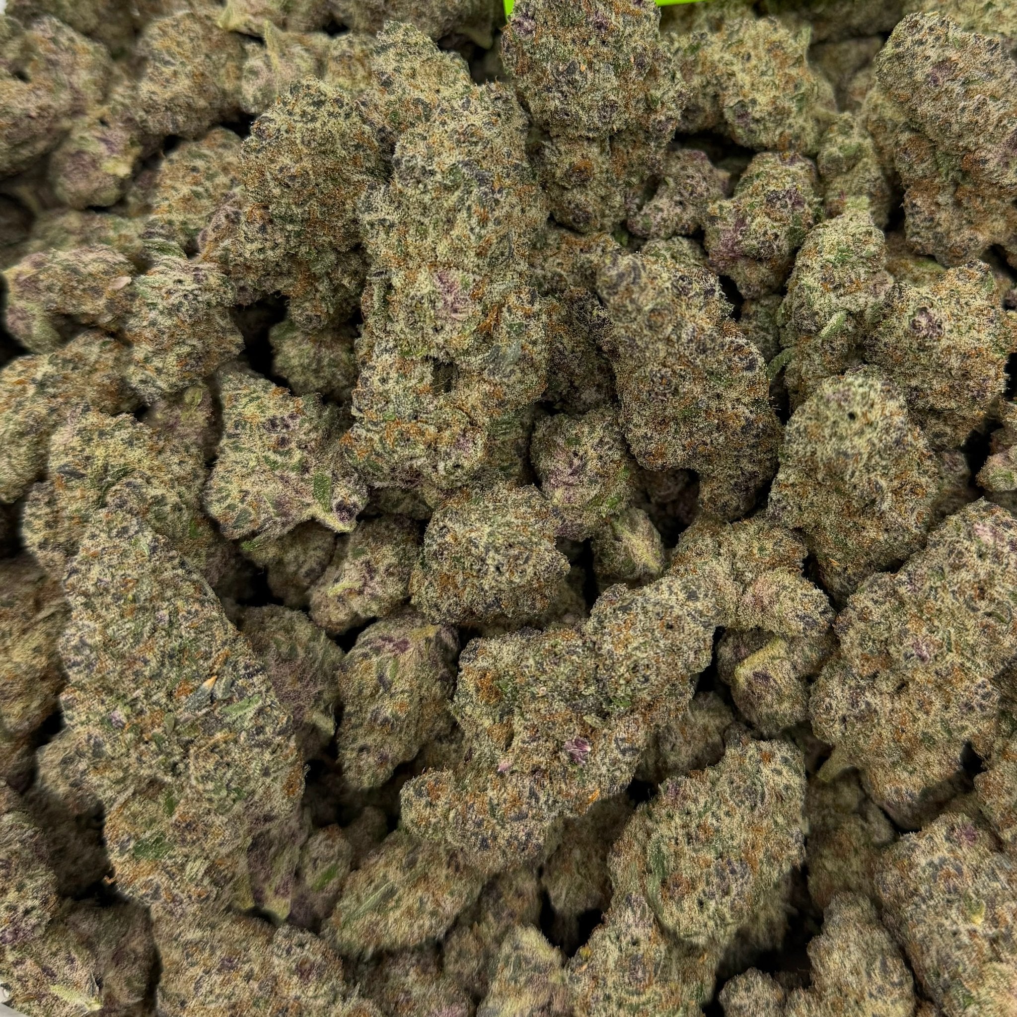 Sub Zero bulk THCA flower — Plain Jane 1 lb