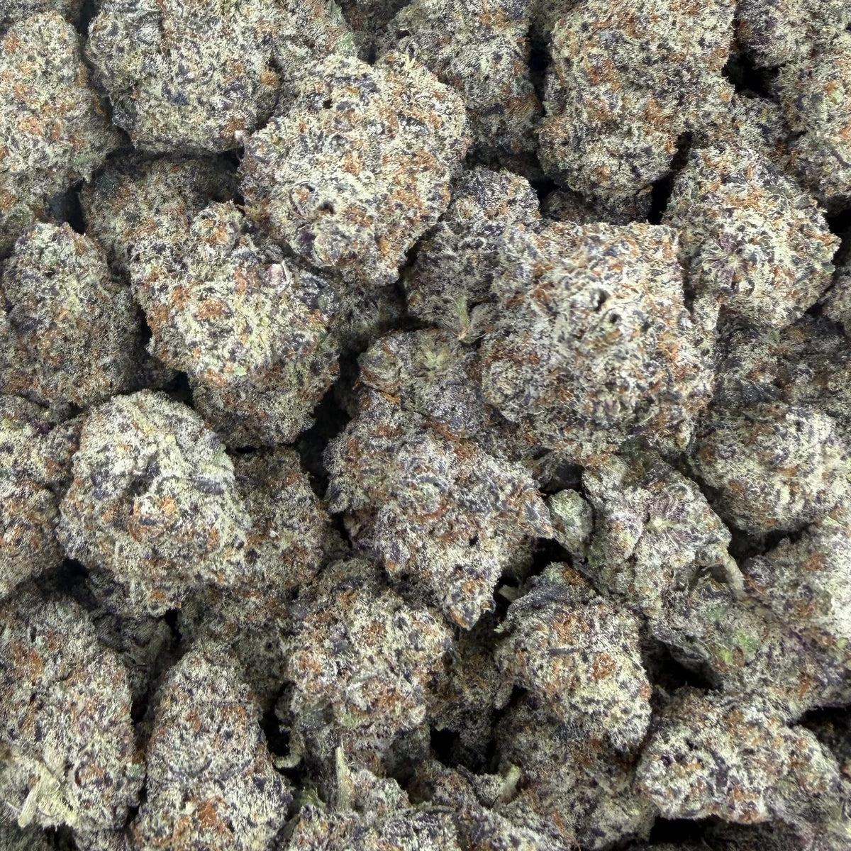 Sub Zero bulk THCA flower — Plain Jane 1 lb