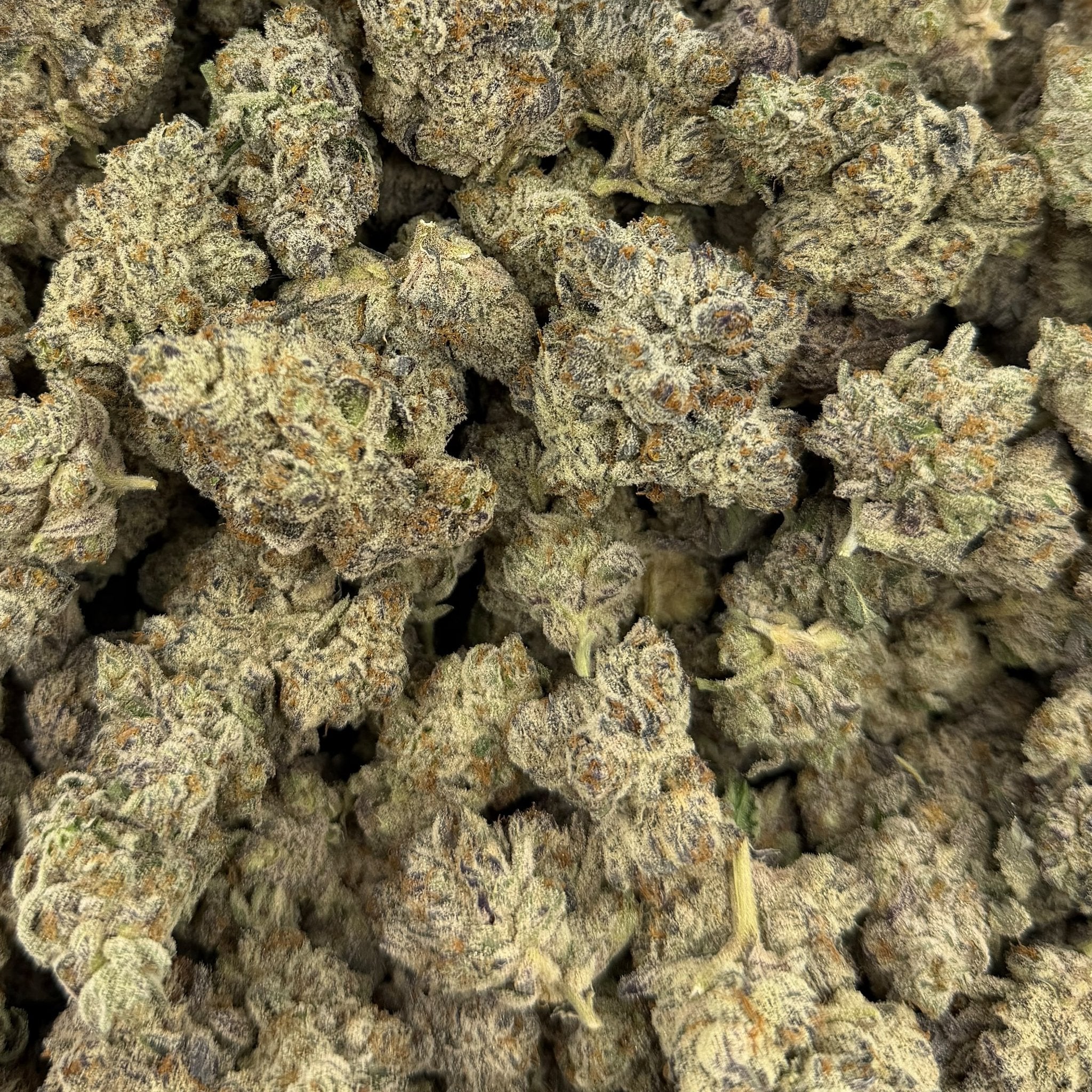 Sub Zero bulk THCA flower — Plain Jane 1 lb