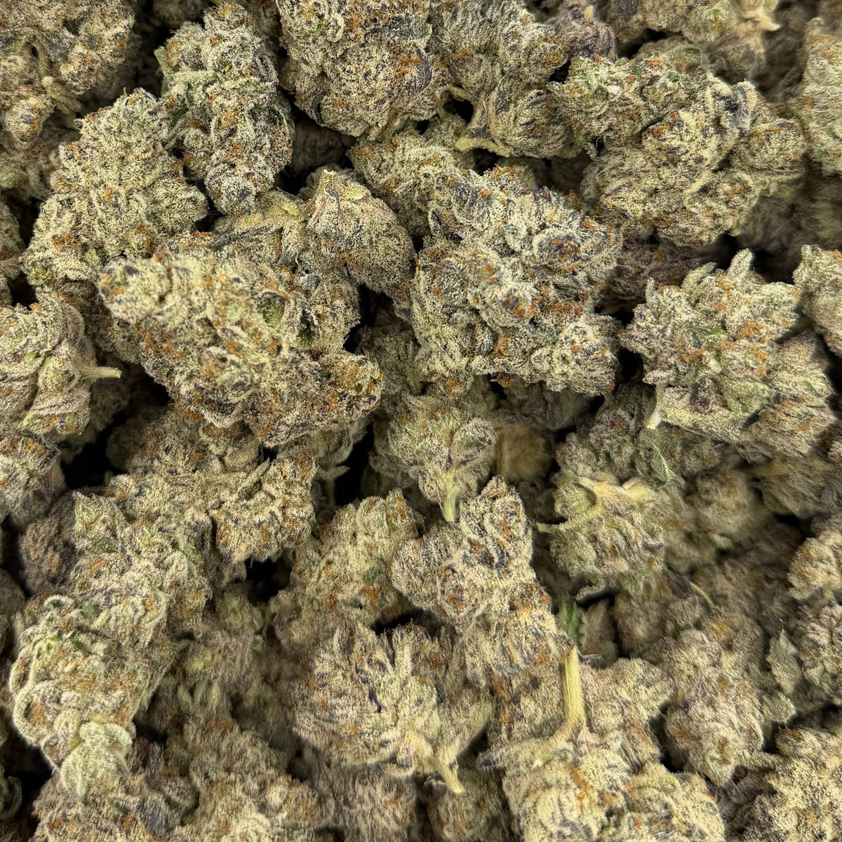 Sub Zero bulk THCA flower — Plain Jane 1 lb
