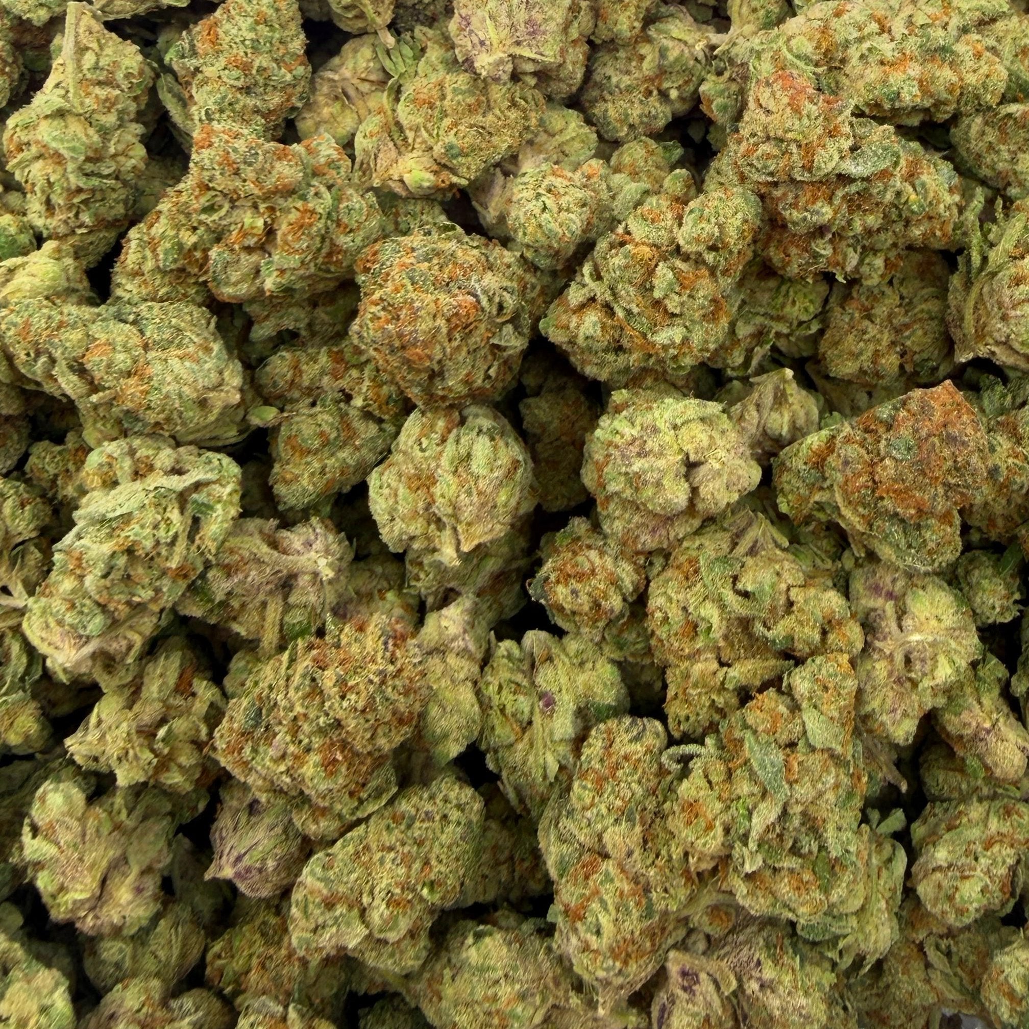 Sugar Breath bulk THCA flower — Plain Jane 1 lb