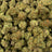 Sugar Breath bulk THCA flower — Plain Jane 1 lb