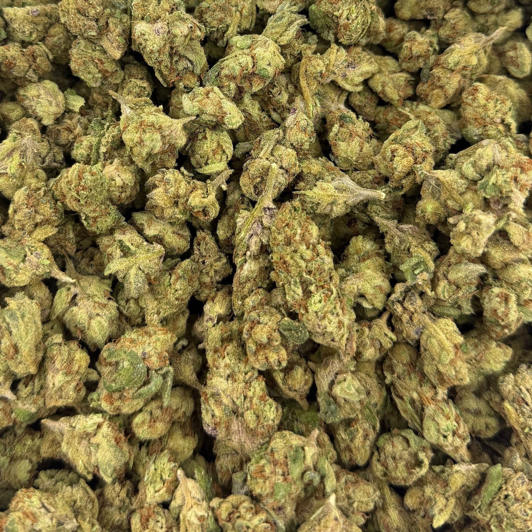 Sugar Breath bulk THCA flower — Plain Jane 1 lb