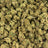 Sugar Breath bulk THCA flower — Plain Jane 1 lb