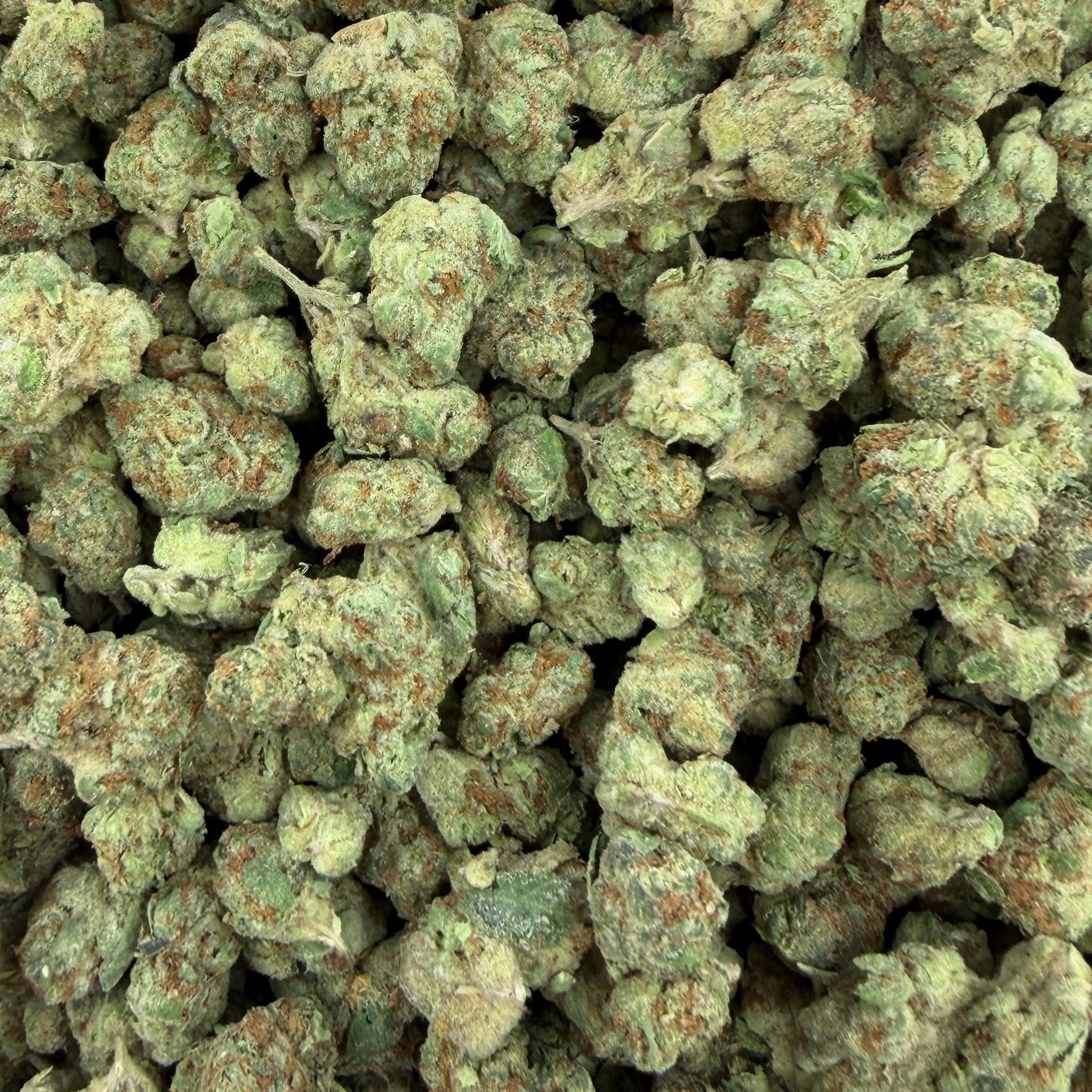Sugar Breath bulk THCA flower — Plain Jane 1 lb