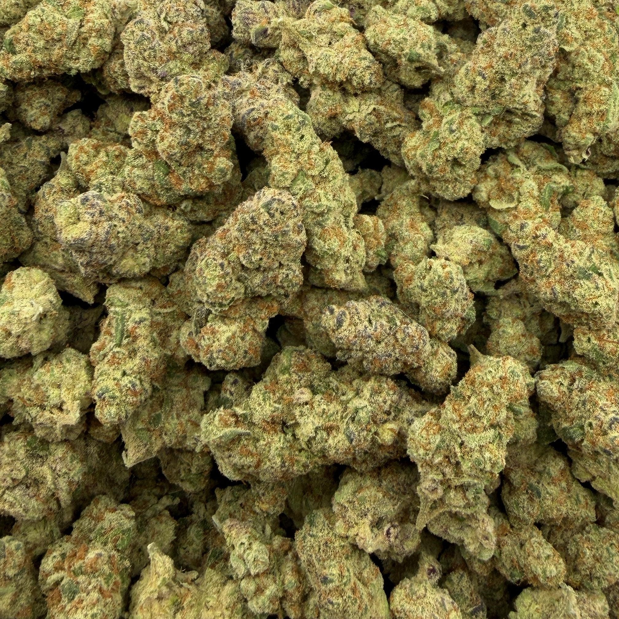 Sugar Breath bulk THCA flower — Plain Jane 1 lb