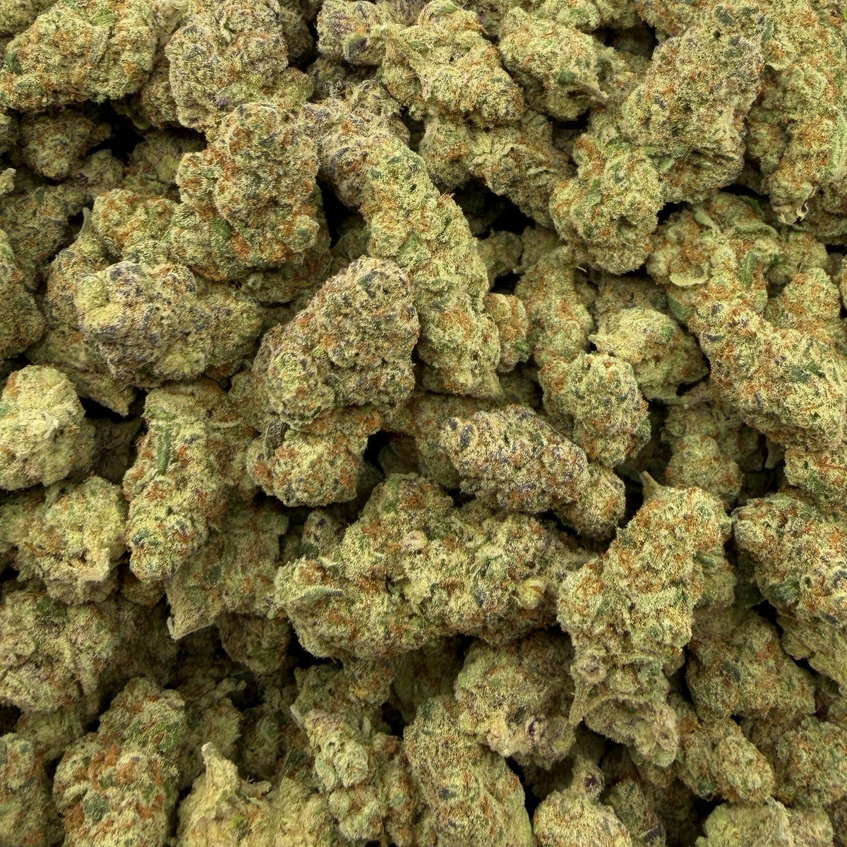 Sugar Breath bulk THCA flower — Plain Jane 1 lb