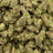 Sugar Breath bulk THCA flower — Plain Jane 1 lb