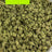 Sugar Cookies bulk THCA flower — Plain Jane 1 lb