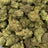 Sugar Cookies bulk THCA flower — Plain Jane 1 lb