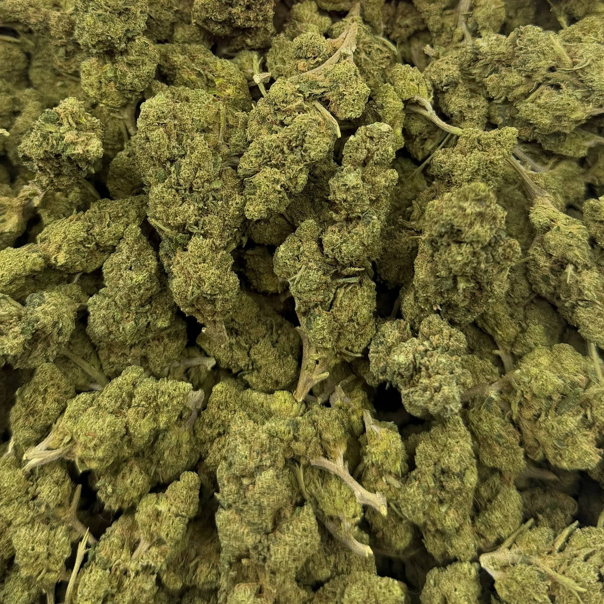 Sugar Heist bulk THCA flower — Plain Jane 1 lb