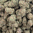 Sugar Heist bulk THCA flower — Plain Jane 1 lb
