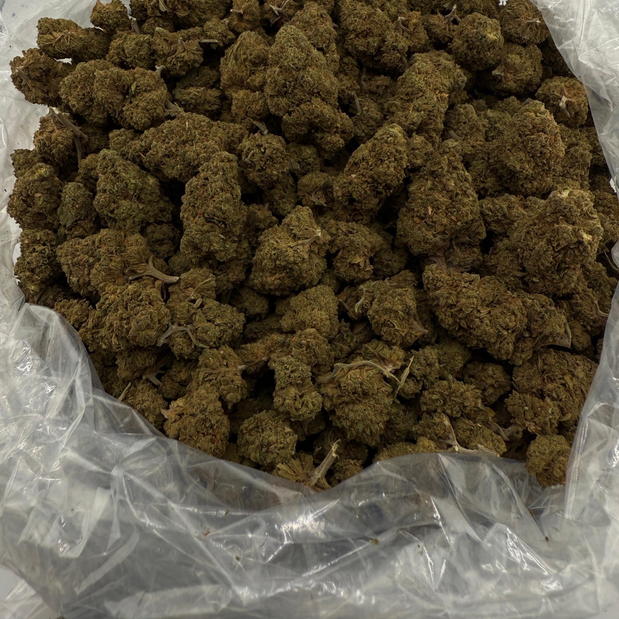 Sunday Driver bulk THCA flower — Plain Jane 1 lb