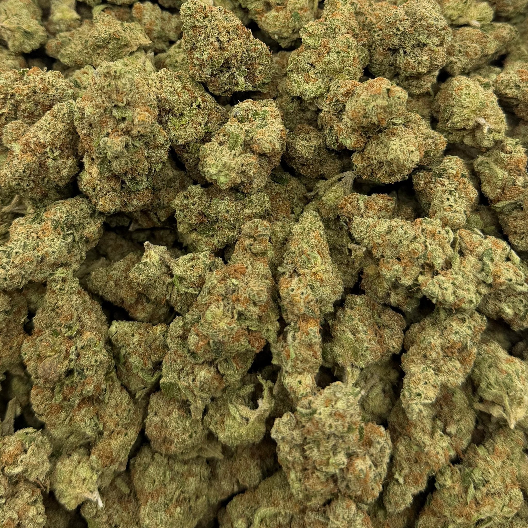 Sunday Driver bulk THCA flower — Plain Jane 1 lb