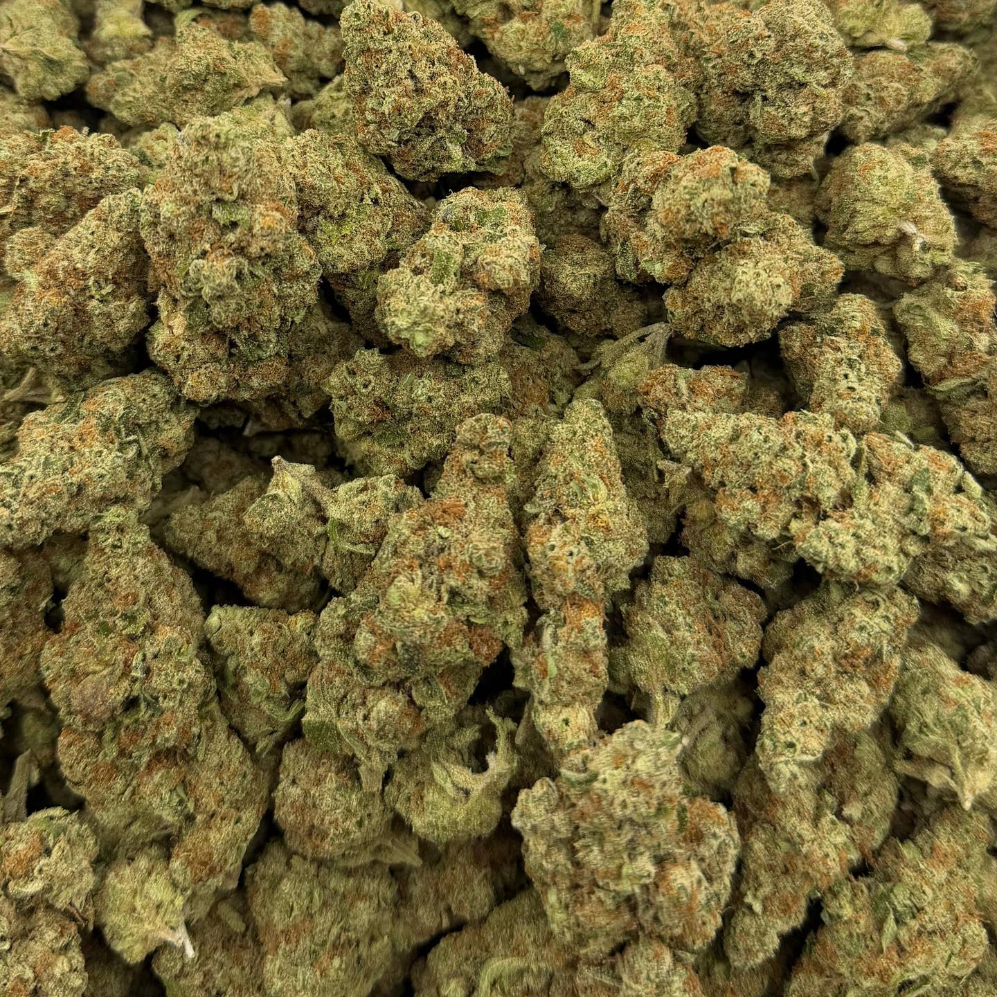 Sunday Driver bulk THCA flower — Plain Jane 1 lb