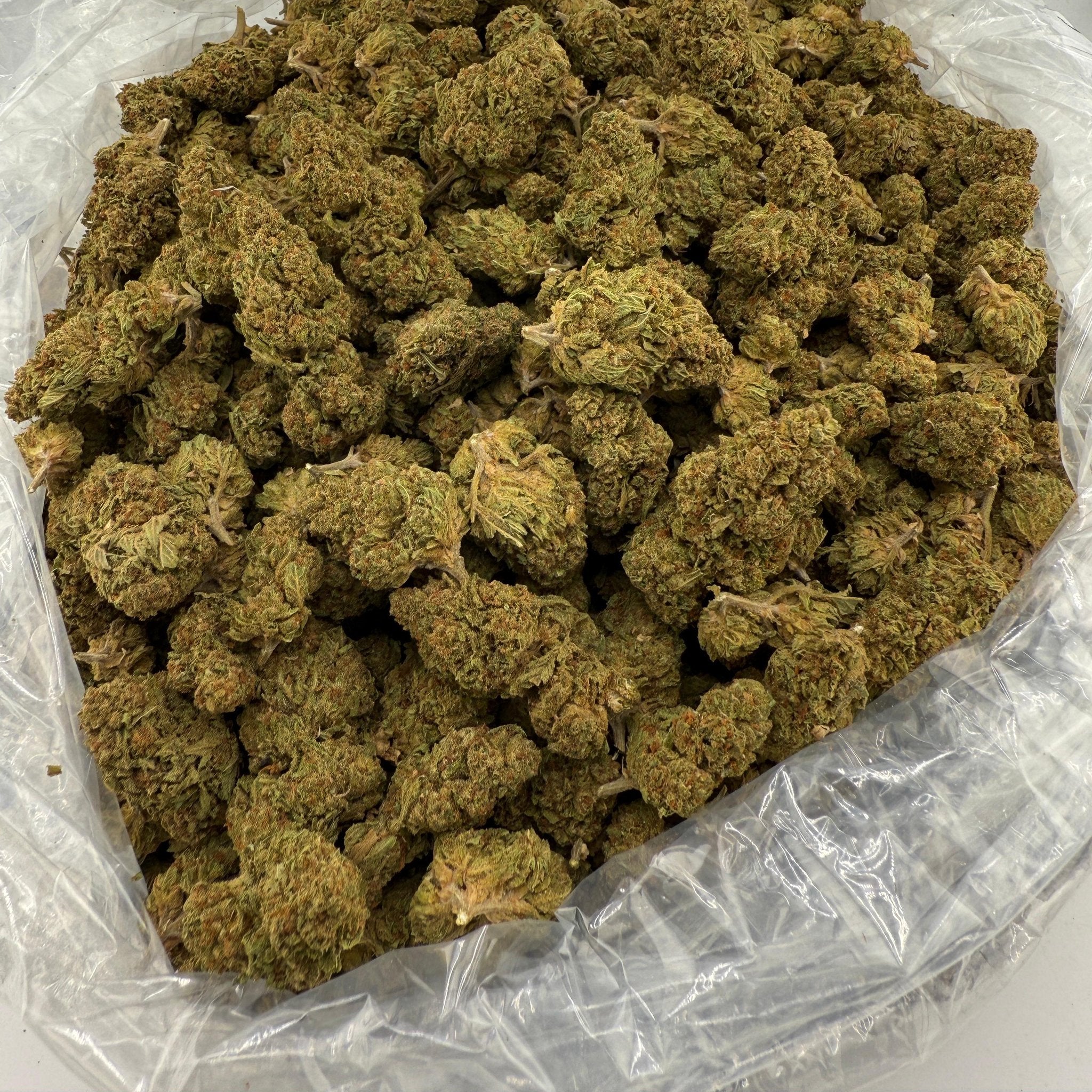Sunset Sherbert bulk THCA flower — Plain Jane 1 lb