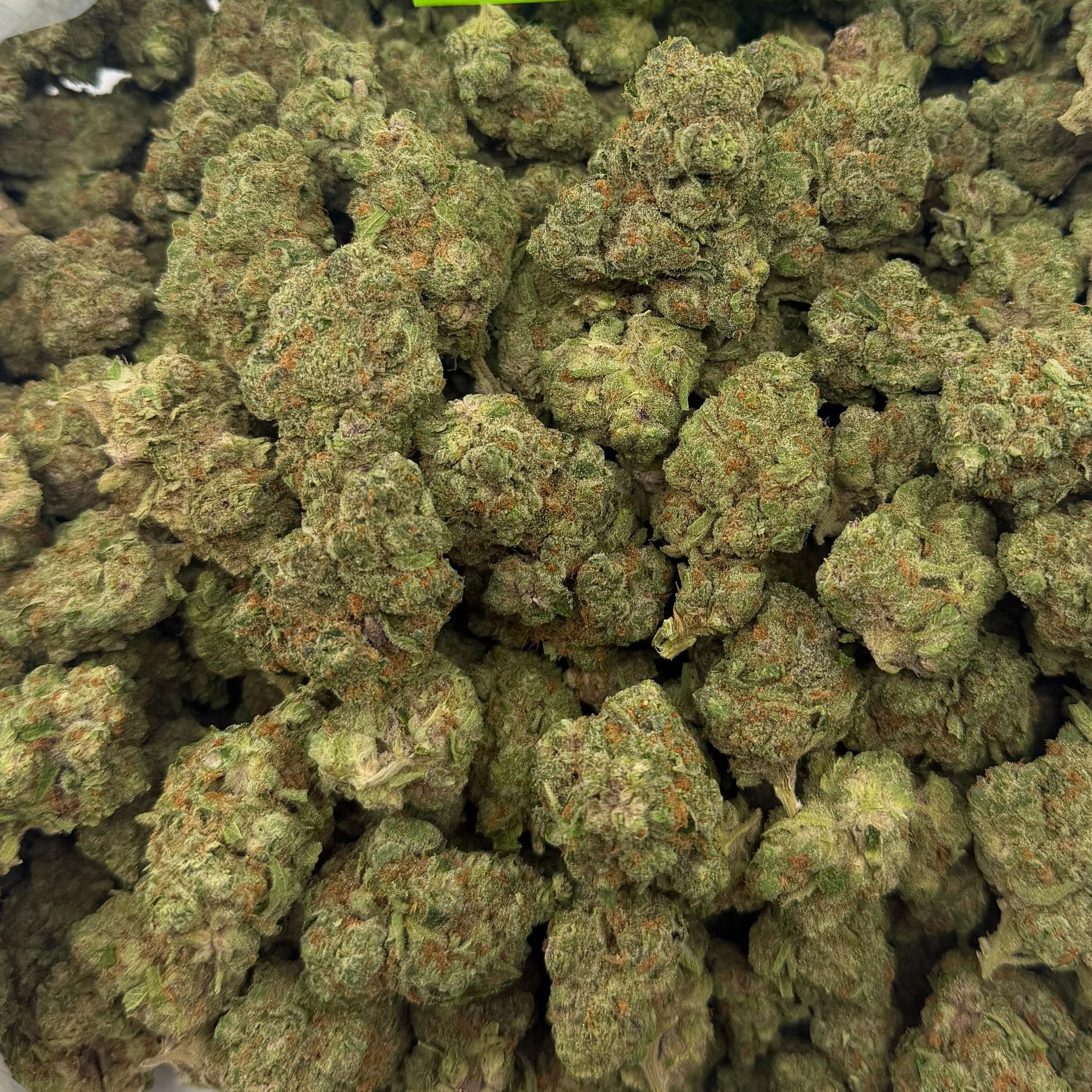 Super Boof bulk THCA flower — Plain Jane 1 lb