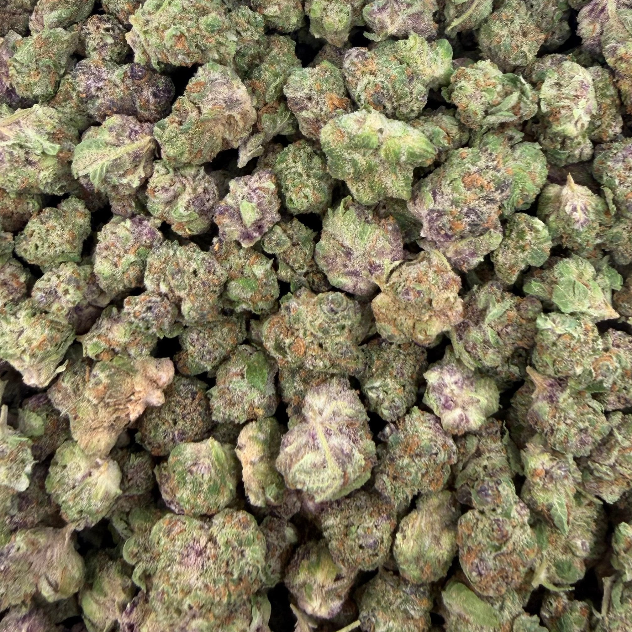 Super Boof bulk THCA flower — Plain Jane 1 lb