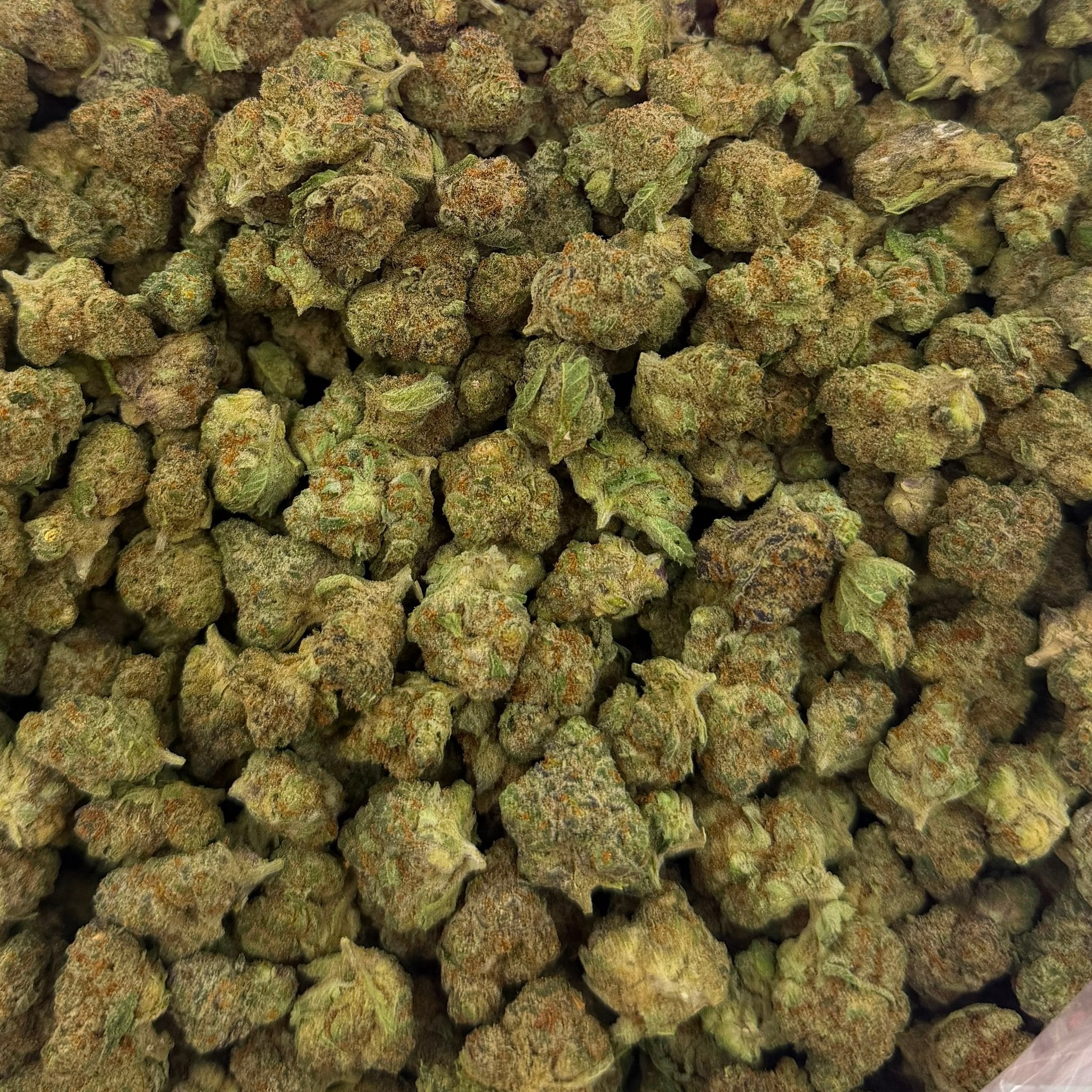Super Boof bulk THCA flower — Plain Jane 1 lb