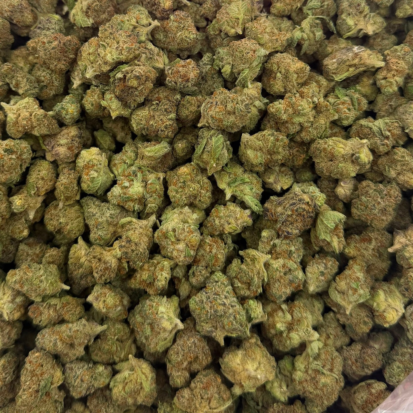 Super Boof bulk THCA flower — Plain Jane 1 lb