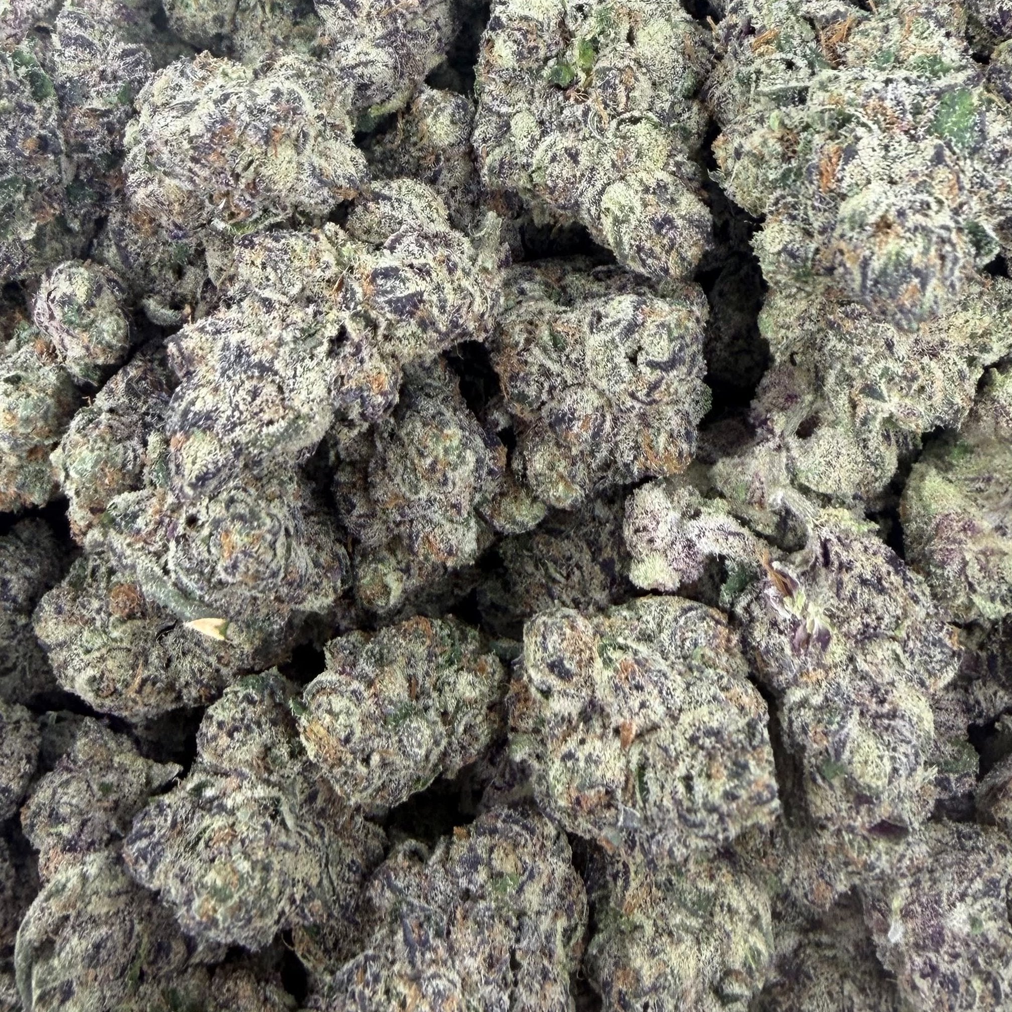 Super Boof bulk THCA flower — Plain Jane 1 lb