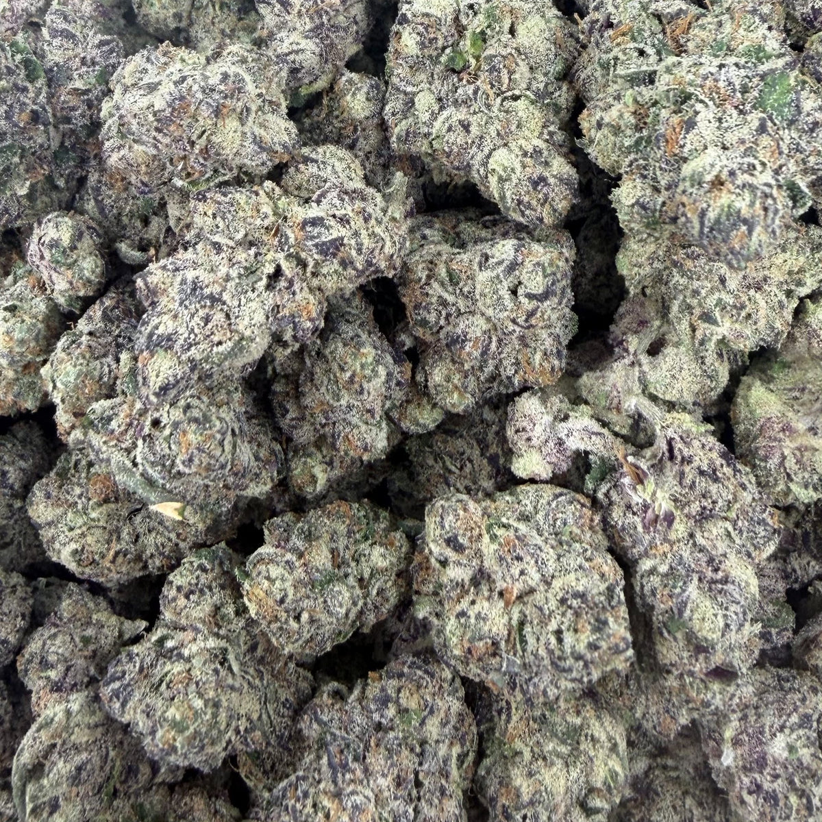 Super Boof bulk THCA flower — Plain Jane 1 lb