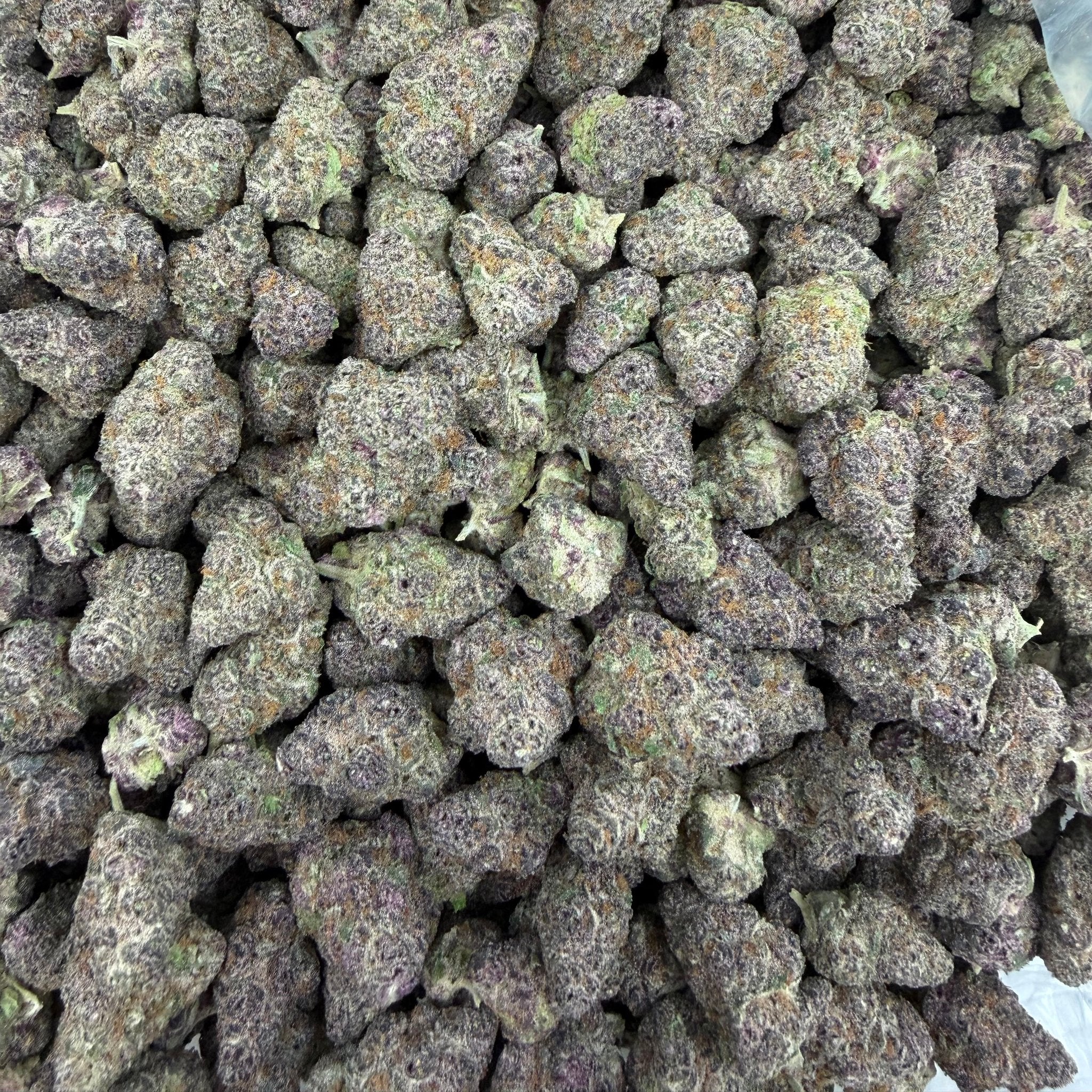 Super Buff Cherry bulk THCA flower — Plain Jane 1 lb