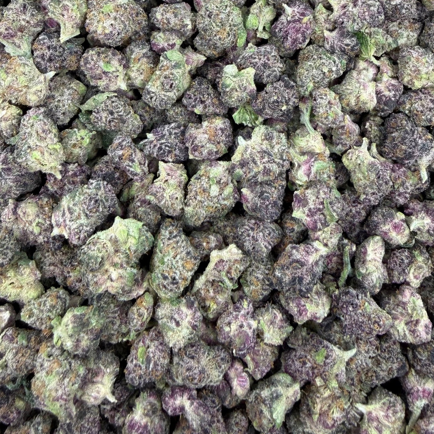 Super Buff Cherry bulk THCA flower — Plain Jane 1 lb
