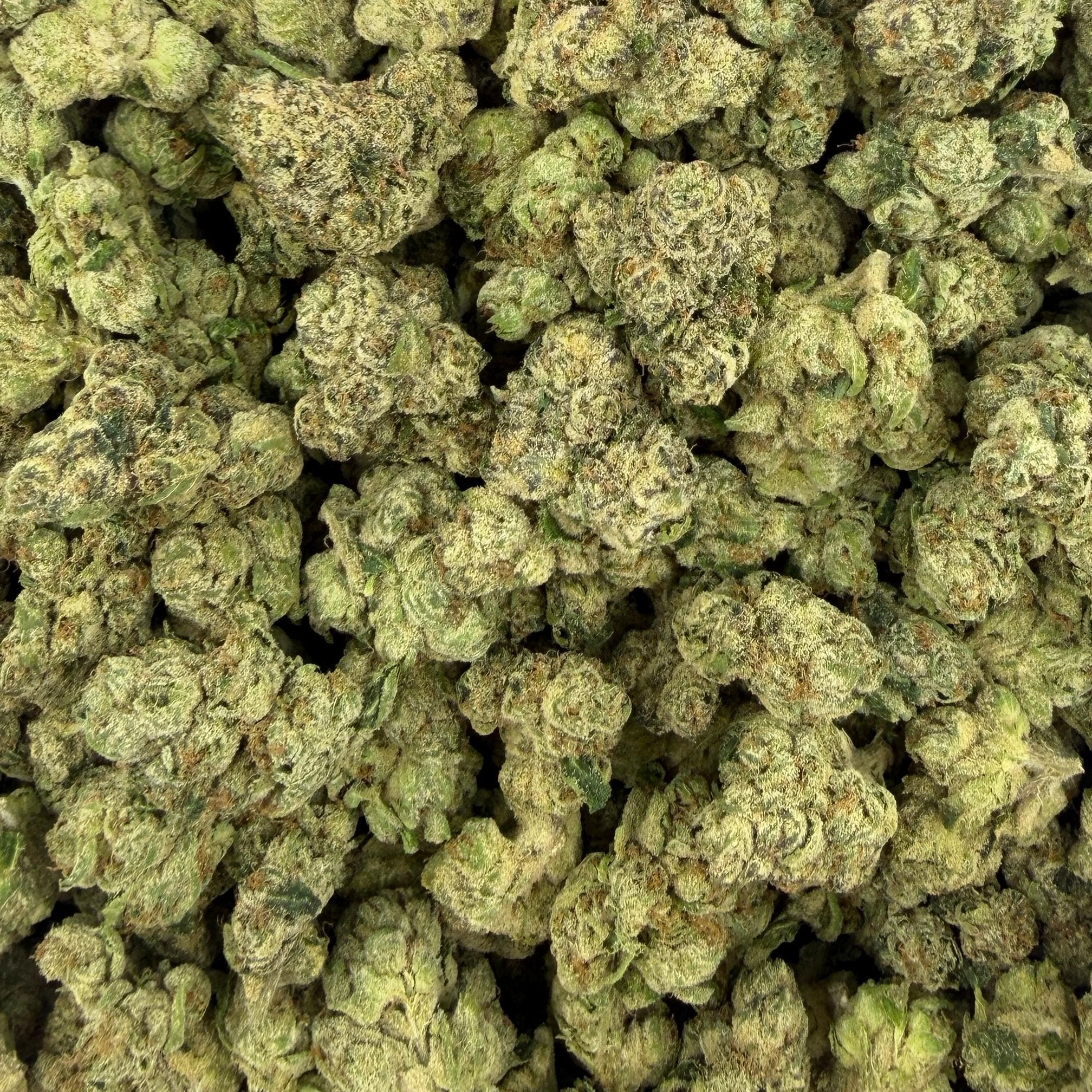 Super Candy bulk THCA flower — Plain Jane 1 lb